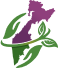 Экология Камчатка